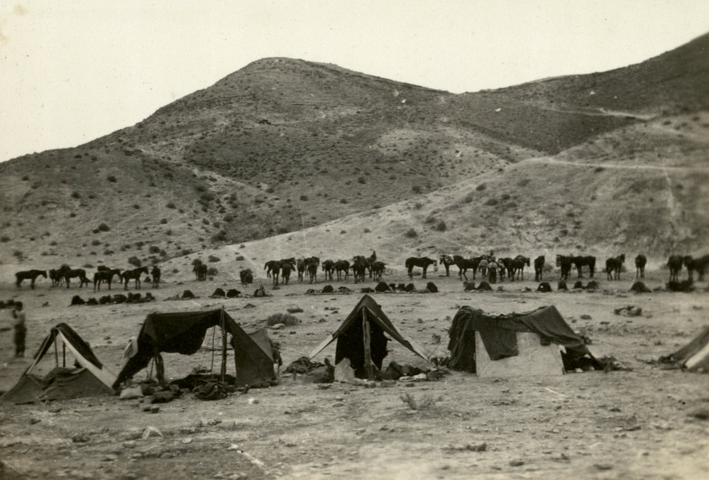 Photo from page 03 of album WWI Photograph Album - Egypt &amp; Sinai and Palestine.