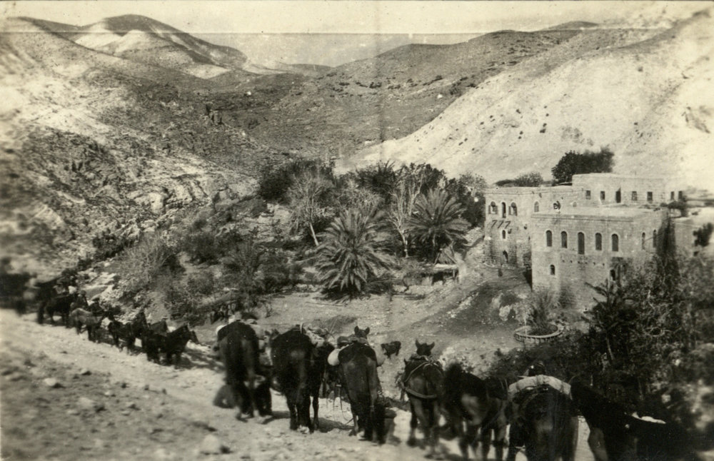Photo from page 03 of album WWI Photograph Album - Egypt &amp; Sinai and Palestine.