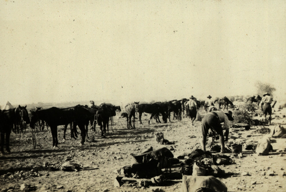 Photo from page 03 of album WWI Photograph Album - Egypt &amp; Sinai and Palestine.
