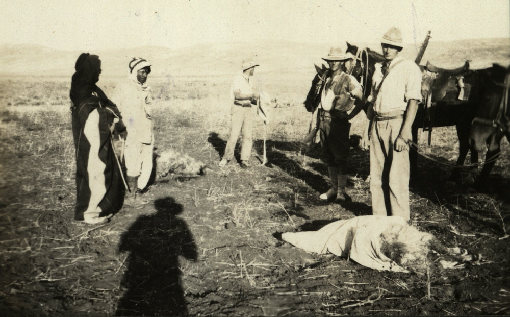 Photo from page 06 of album WWI Photograph Album - Egypt &amp; Sinai and Palestine.