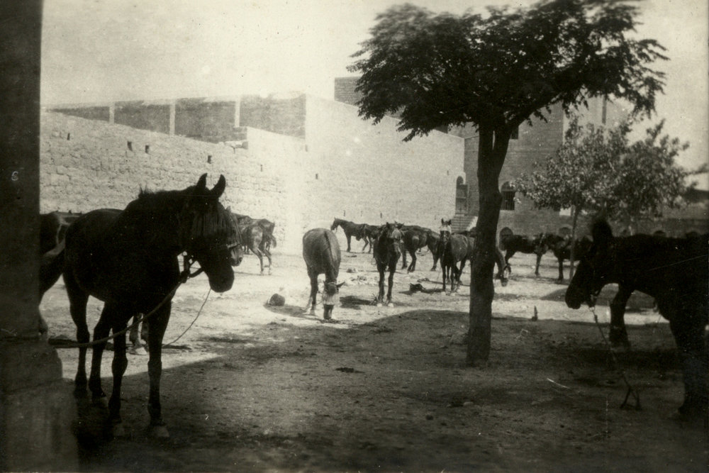 Photo from page 08 of album WWI Photograph Album - Egypt &amp; Sinai and Palestine.