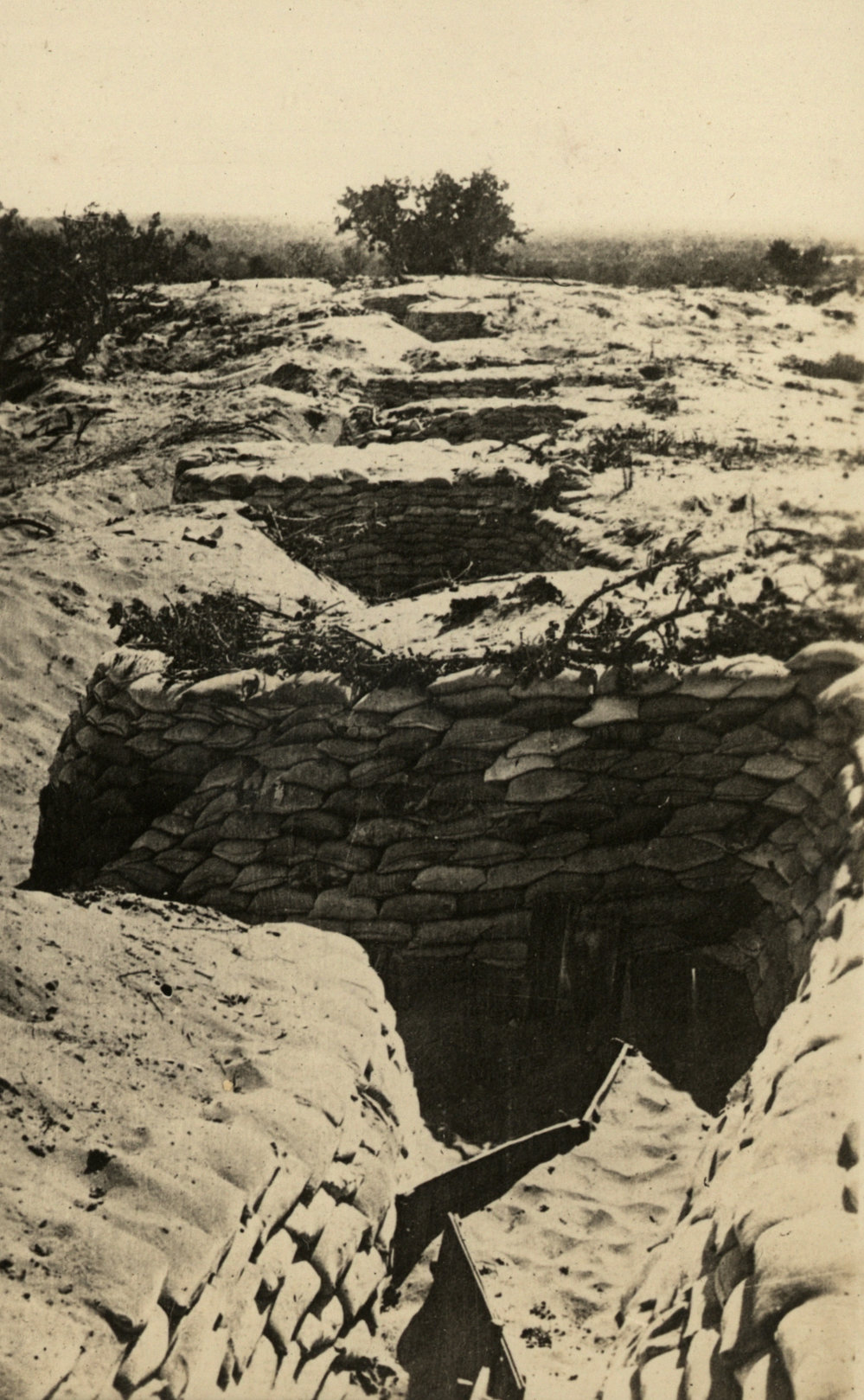 Photo from page 09 of album WWI Photograph Album - Egypt &amp; Sinai and Palestine.