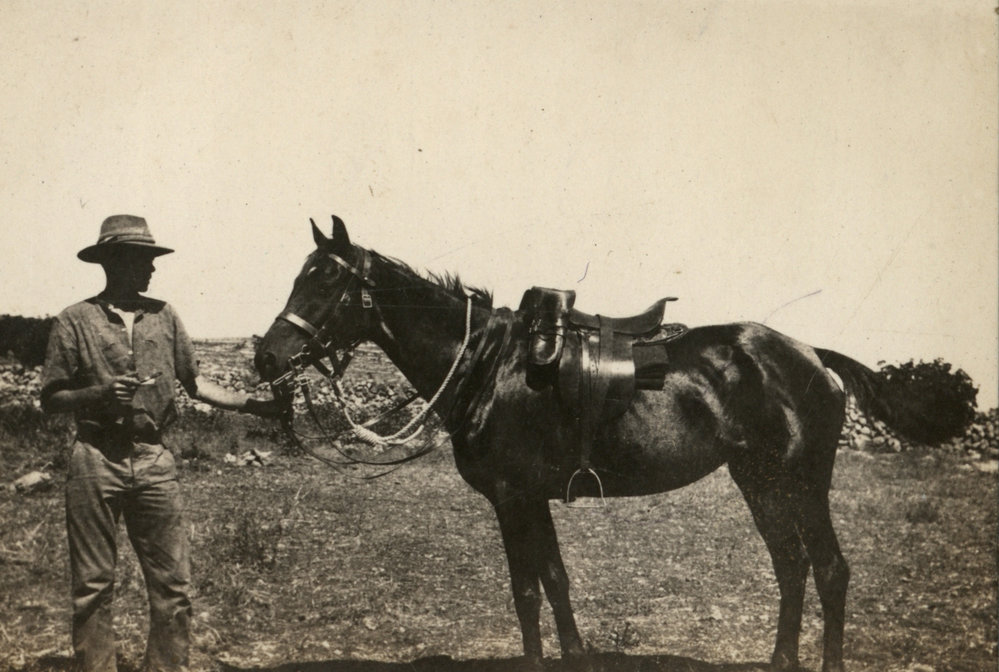 Photo from page 12 of album WWI Photograph Album - Egypt &amp; Sinai and Palestine.