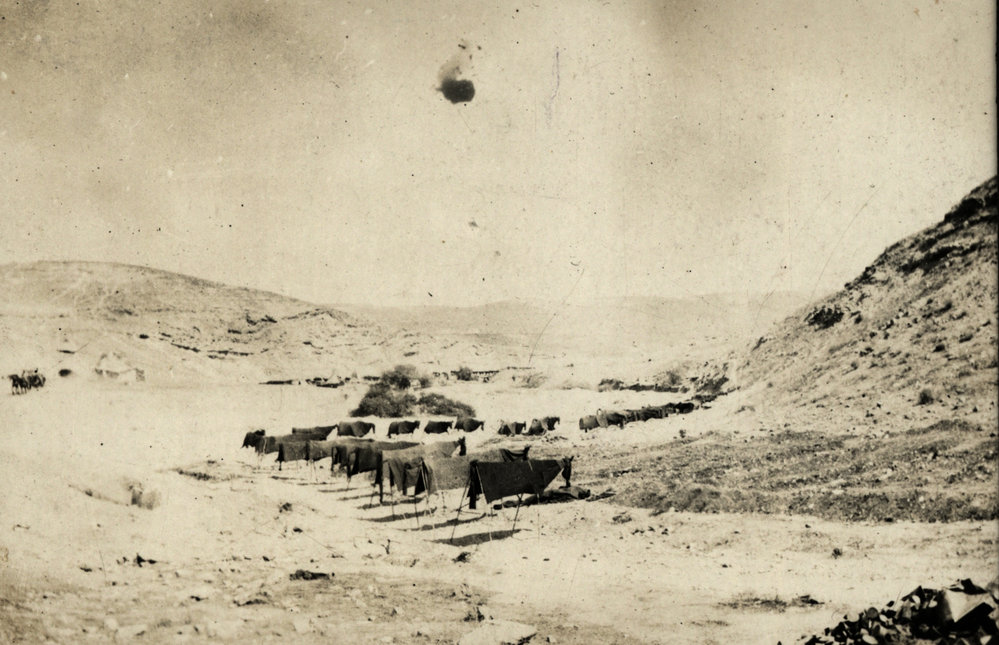 Photo from page 14 of album WWI Photograph Album - Egypt &amp; Sinai and Palestine.