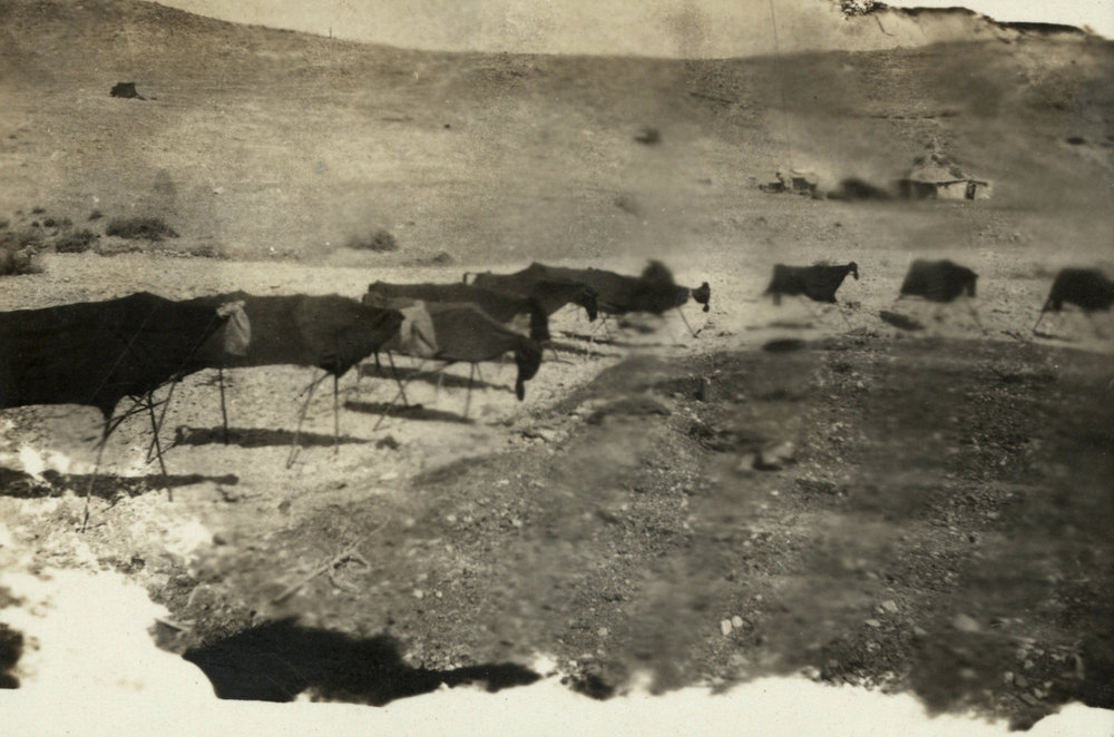 Photo from page 14 of album WWI Photograph Album - Egypt &amp; Sinai and Palestine.