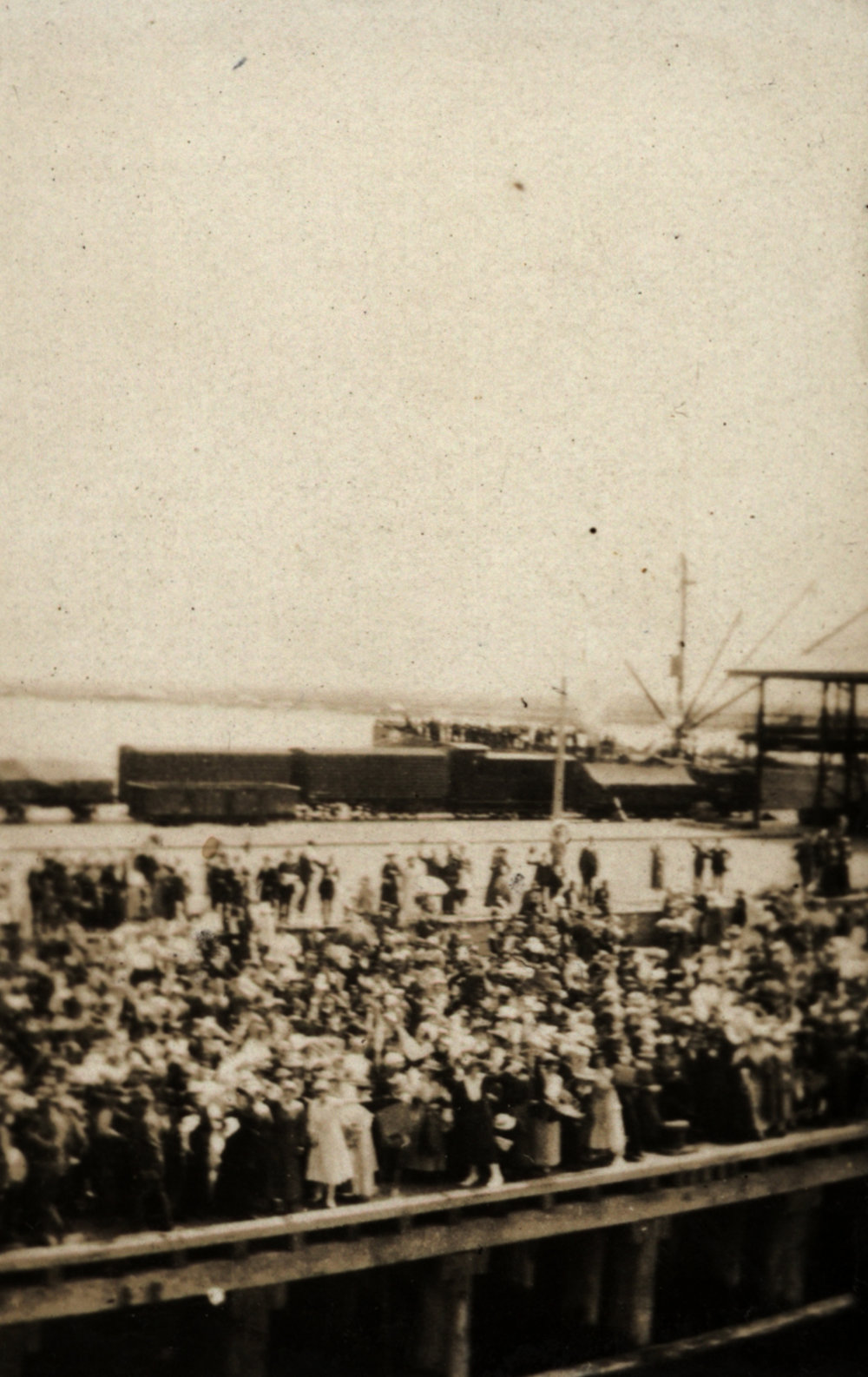 Photo from page 05 of album WWI Photograph Album - New Zealand and Egypt.