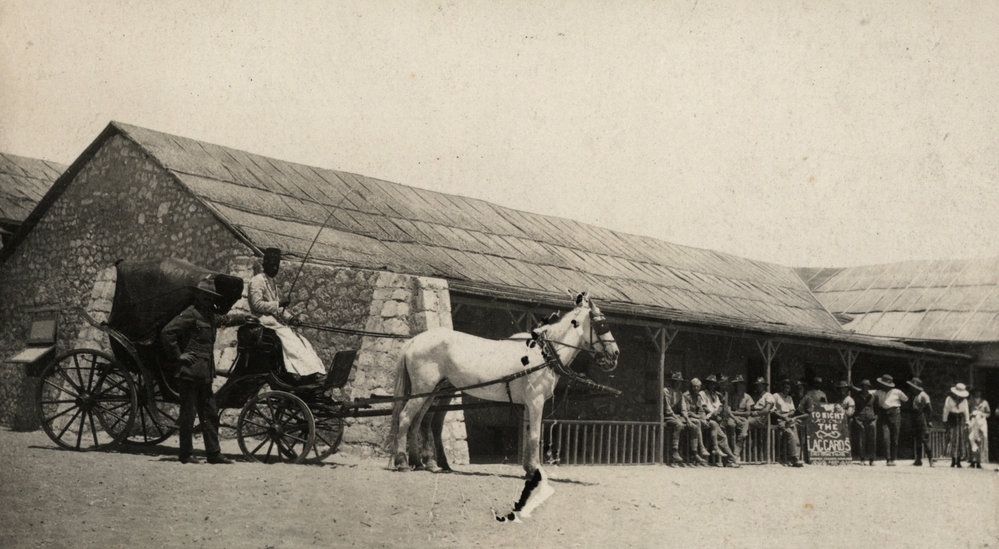 Photo from page 08 of album WWI Photograph Album - New Zealand and Egypt.