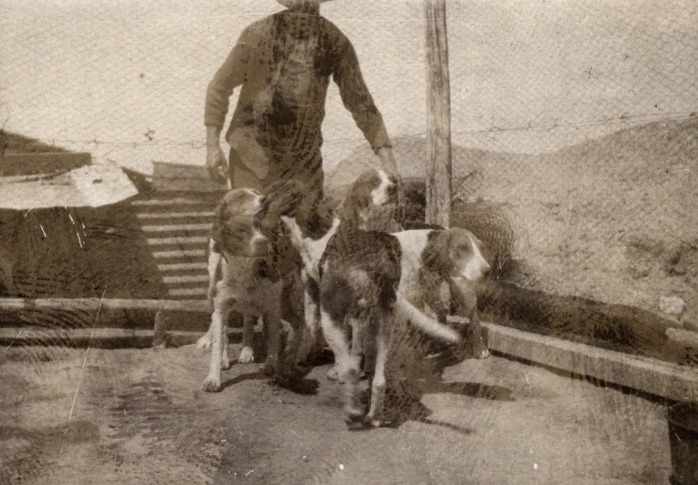 Photo from page 08 of album WWI Photograph Album - New Zealand and Egypt.