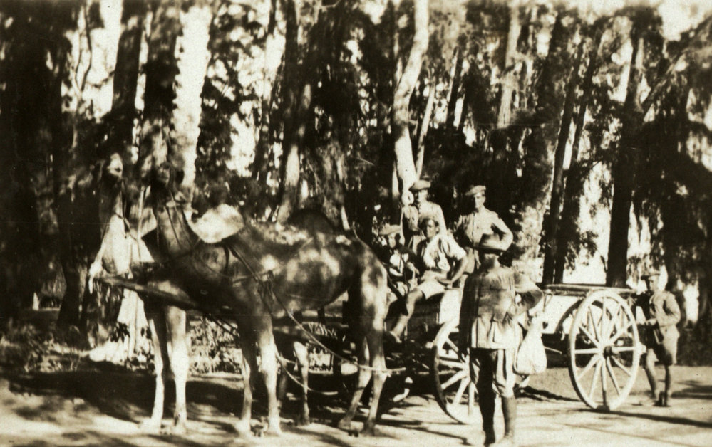 Photo from page 09 of album WWI Photograph Album - New Zealand and Egypt.