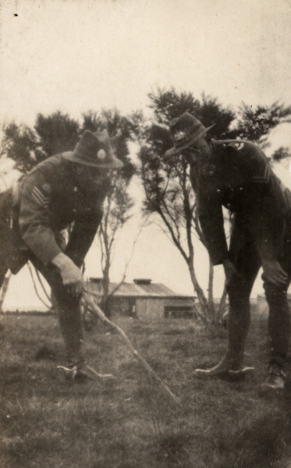 Photo from page 05 of album WWI Photograph Album - New Zealand and Egypt.
