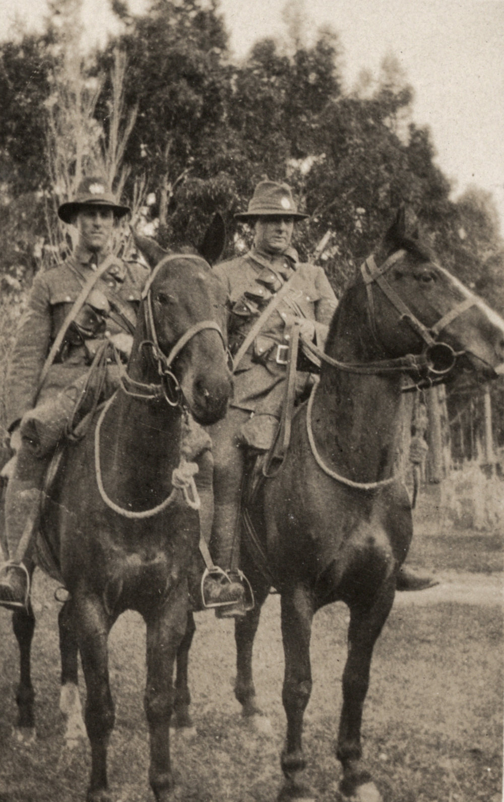 Photo from page 06 of album WWI Photograph Album - New Zealand and Egypt.