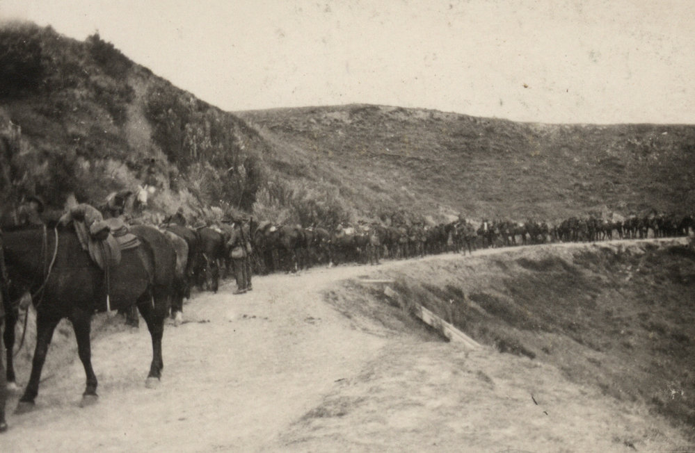 Photo from page 11 of album WWI Photograph Album - New Zealand and Egypt.