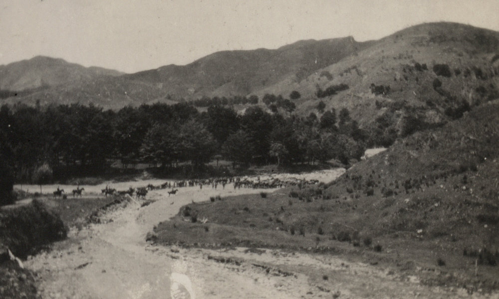 Photo from page 11 of album WWI Photograph Album - New Zealand and Egypt.