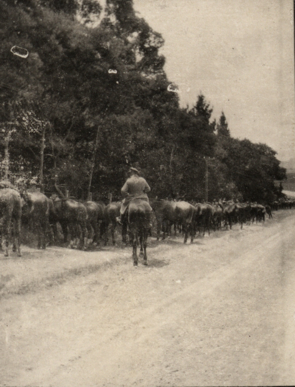 Photo from page 11 of album WWI Photograph Album - New Zealand and Egypt.