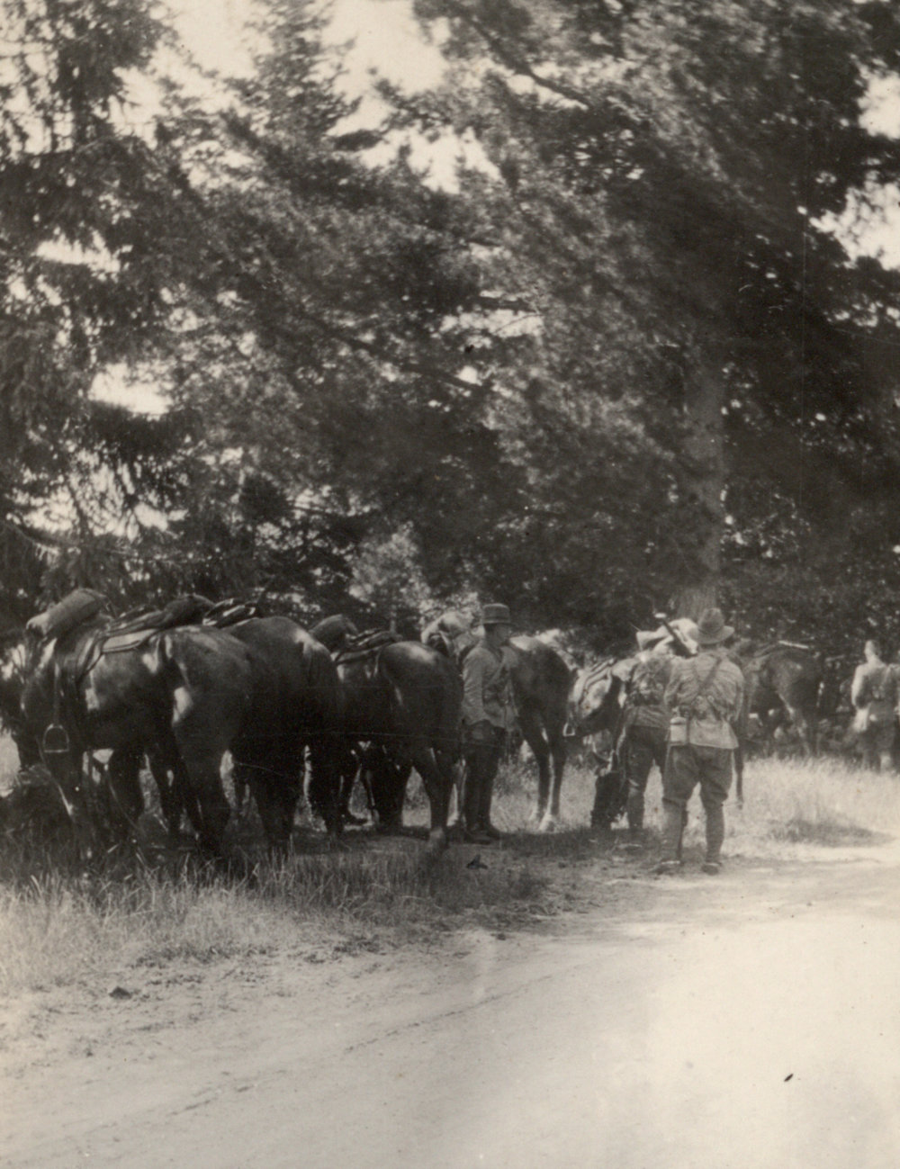 Photo from page 11 of album WWI Photograph Album - New Zealand and Egypt.
