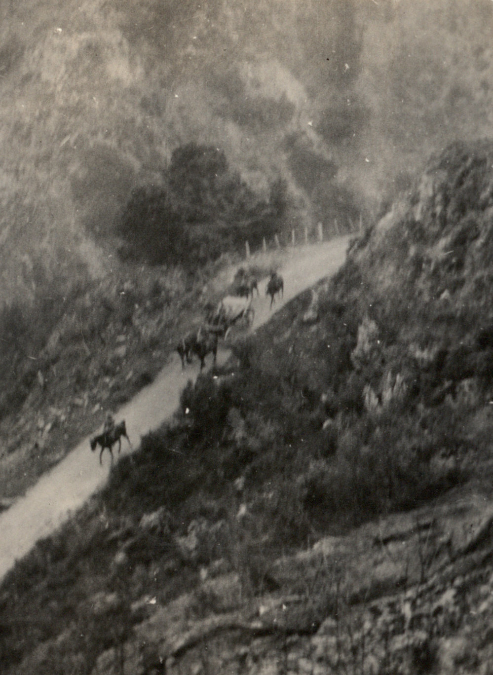 Photo from page 11 of album WWI Photograph Album - New Zealand and Egypt.