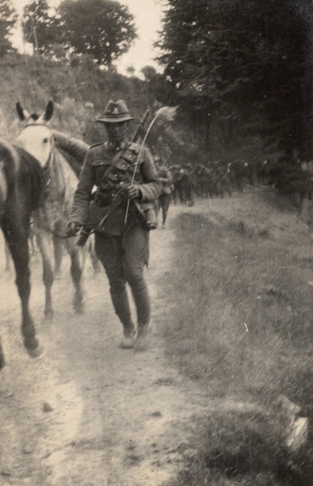 Photo from page 12 of album WWI Photograph Album - New Zealand and Egypt.