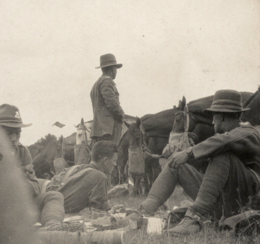 Photo from page 12 of album WWI Photograph Album - New Zealand and Egypt.