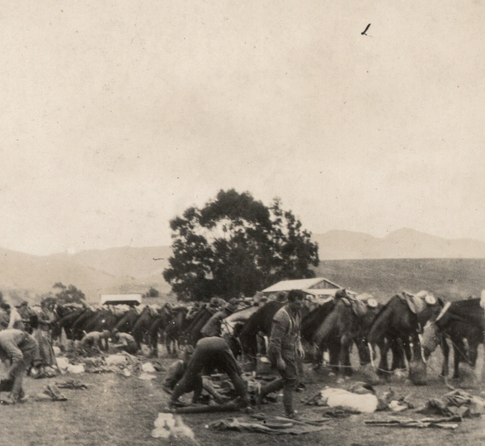 Photo from page 12 of album WWI Photograph Album - New Zealand and Egypt.