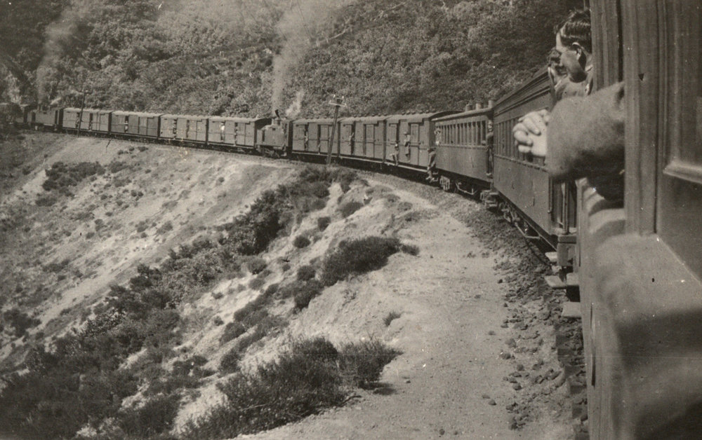 Photo from page 13 of album WWI Photograph Album - New Zealand and Egypt.