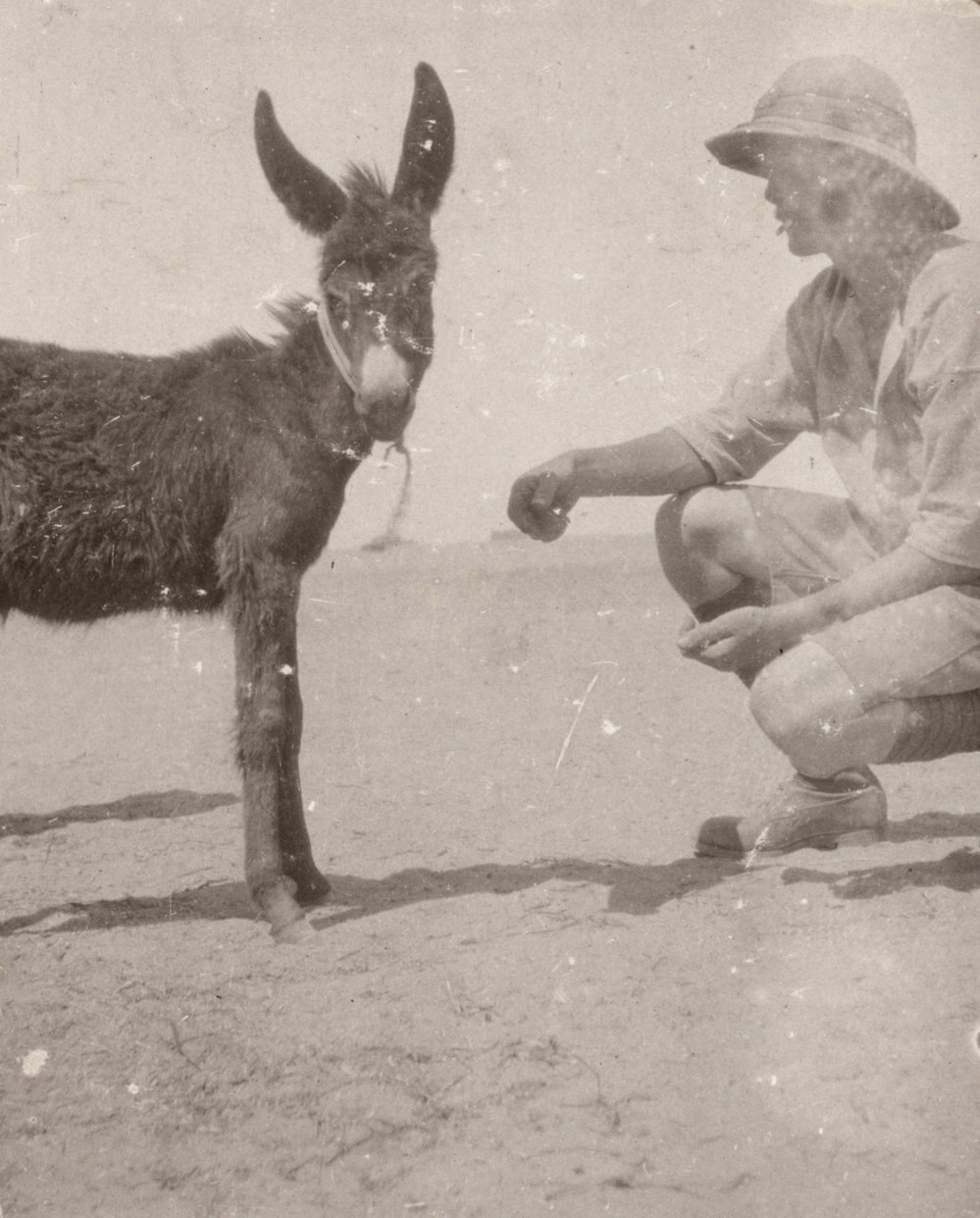 Photo from page 02 of album WWI Photograph Album - Egypt, Malta and Sinai &amp; Palestine.