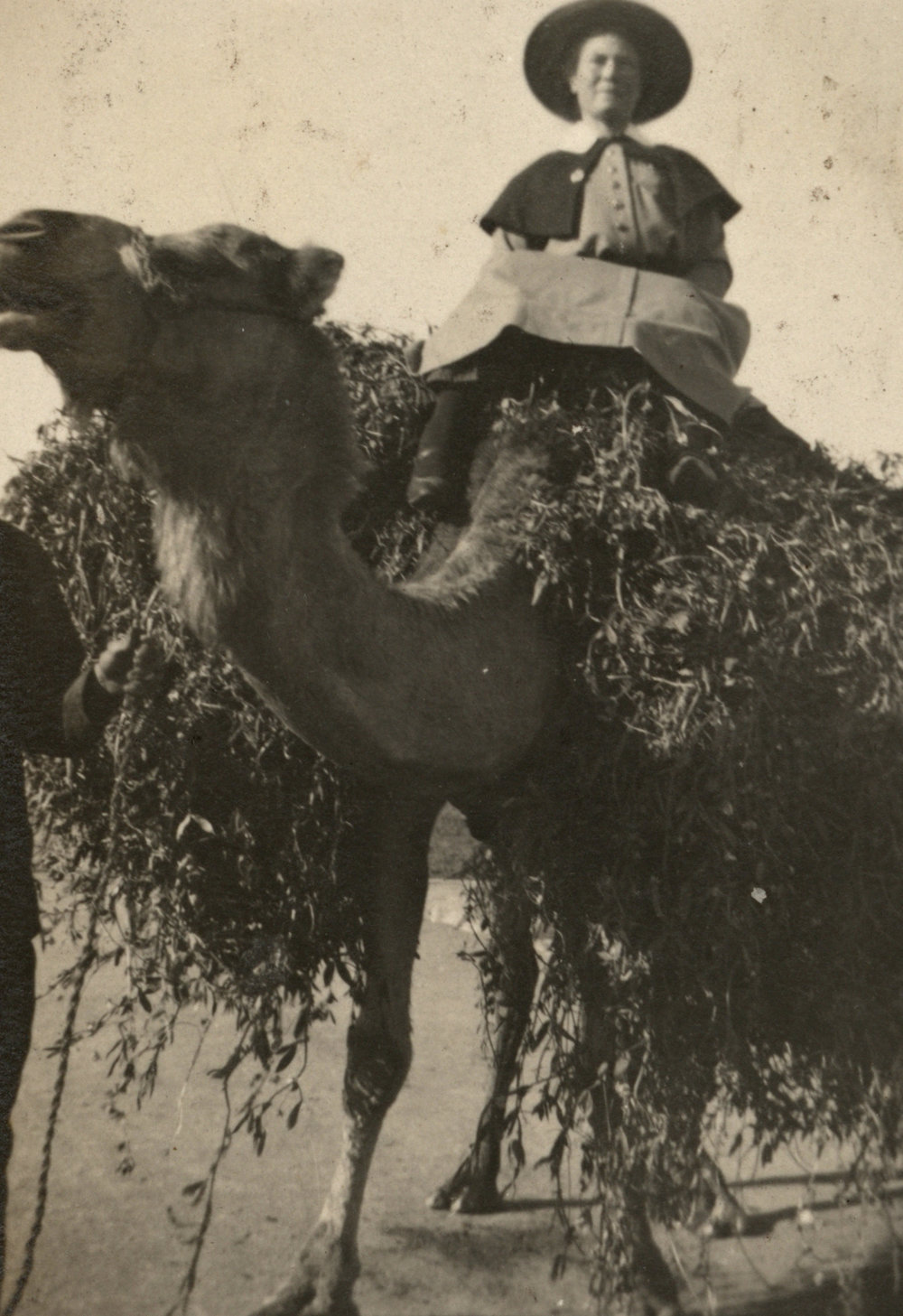 Photo from page 04 of album WWI Photograph Album - Egypt, Malta and Sinai &amp; Palestine.