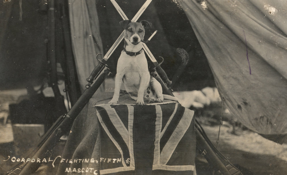 Photo from page 06 of album WWI Photograph Album - Egypt, Malta and Sinai &amp; Palestine.