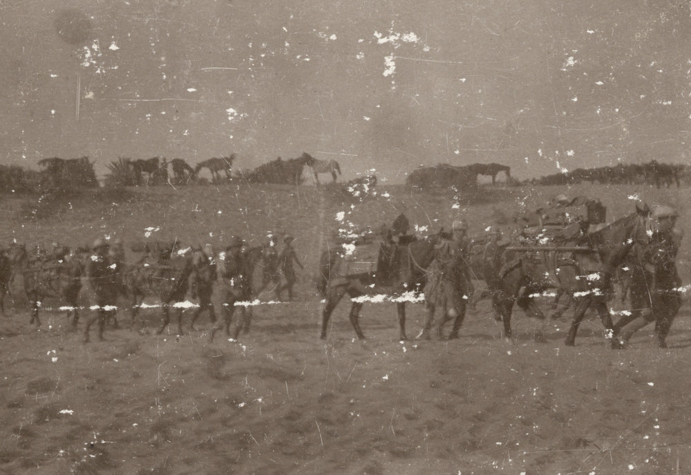 Photo from page 07 of album WWI Photograph Album - Egypt, Malta and Sinai &amp; Palestine.