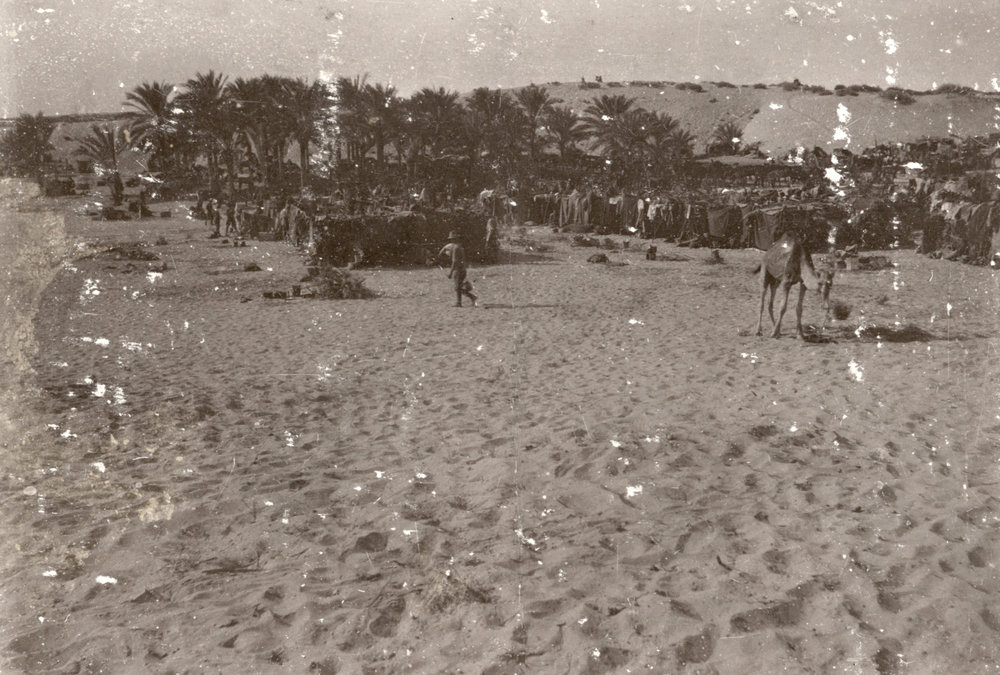 Photo from page 07 of album WWI Photograph Album - Egypt, Malta and Sinai &amp; Palestine.
