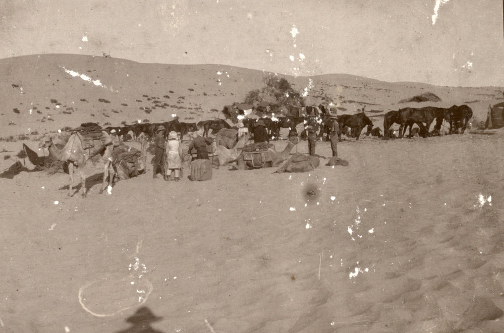 Photo from page 07 of album WWI Photograph Album - Egypt, Malta and Sinai &amp; Palestine.
