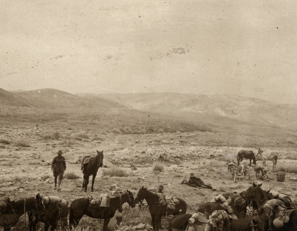 Photo from page 08 of album WWI Photograph Album - Egypt, Malta and Sinai &amp; Palestine.
