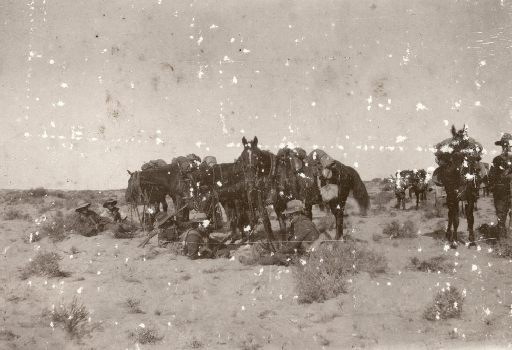 Photo from page 10 of album WWI Photograph Album - Egypt, Malta and Sinai &amp; Palestine.