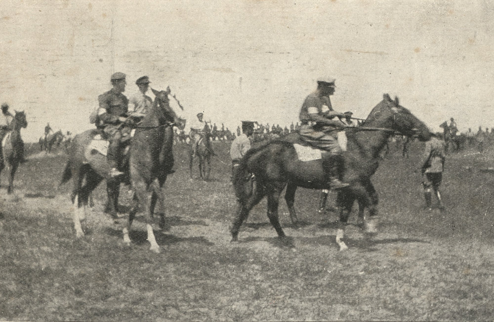 Photo from page 13 of album WWI Photograph Album - Egypt, Malta and Sinai &amp; Palestine.