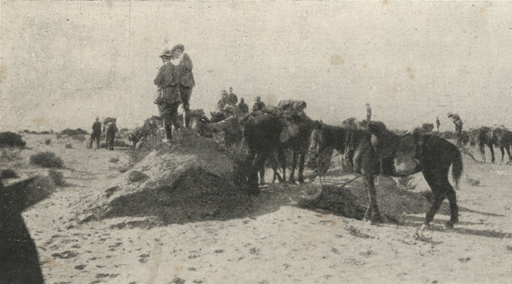 Photo from page 13 of album WWI Photograph Album - Egypt, Malta and Sinai &amp; Palestine.