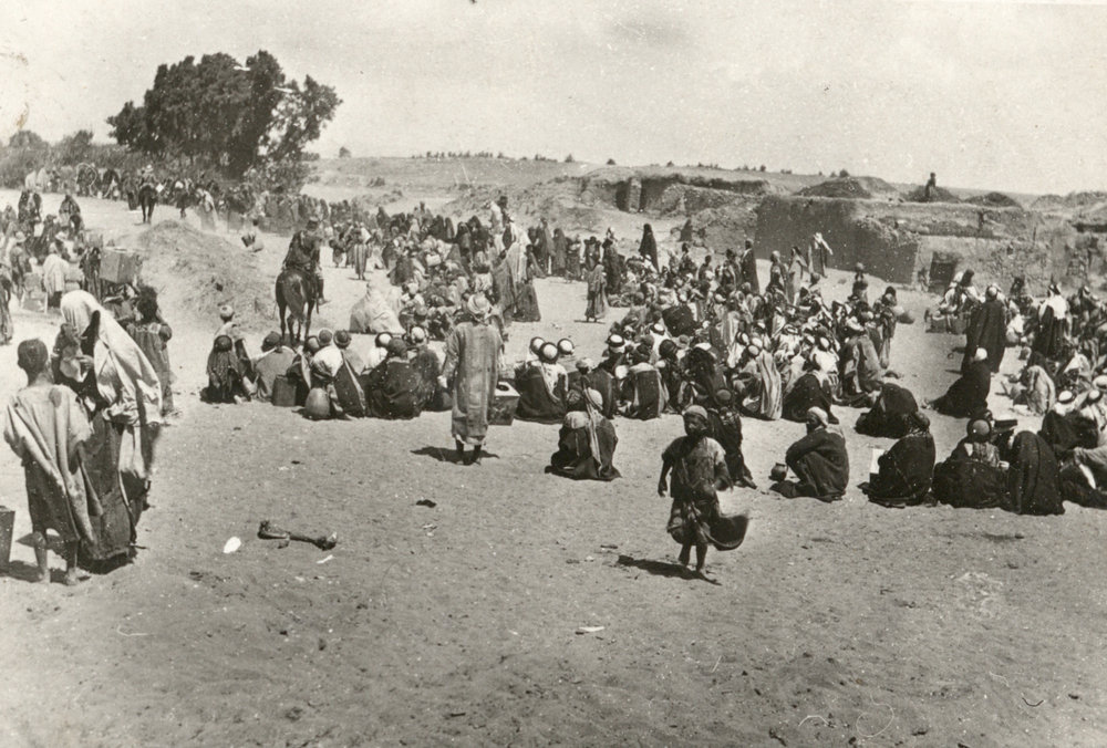 Photo from page 15 of album WWI Photograph Album - Egypt, Malta and Sinai &amp; Palestine.