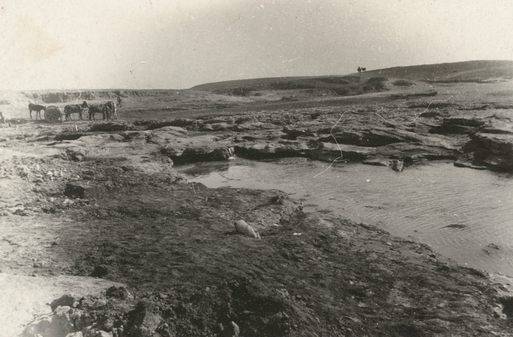 Photo from page 15 of album WWI Photograph Album - Egypt, Malta and Sinai &amp; Palestine.