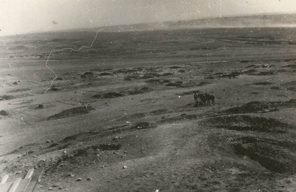 Photo from page 15 of album WWI Photograph Album - Egypt, Malta and Sinai &amp; Palestine.
