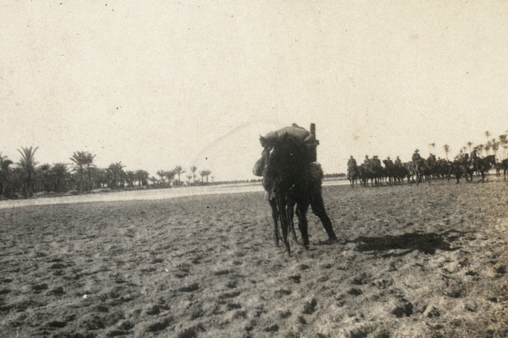 Photo from page 15 of album WWI Photograph Album - Egypt, Malta and Sinai &amp; Palestine.