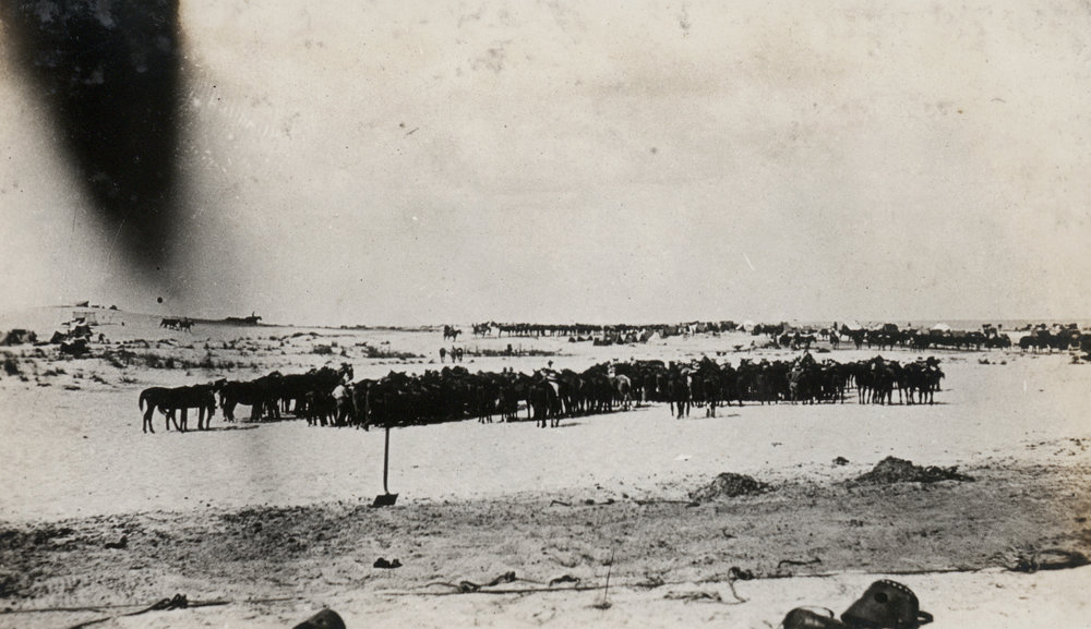 Photo from page 04 of album WWI Photograph Album - Egypt, Sinai &amp; Palestine.