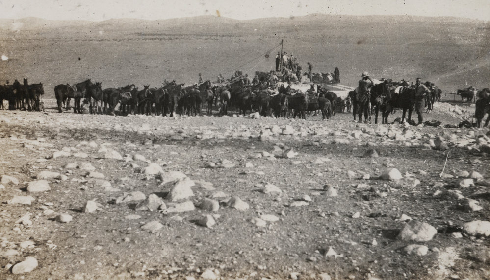 Photo from page 04 of album WWI Photograph Album - Egypt, Sinai &amp; Palestine.
