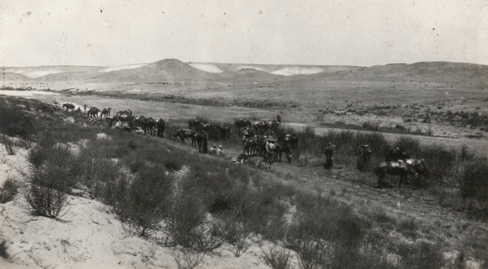 Photo from page 05 of album WWI Photograph Album - Egypt, Sinai &amp; Palestine.