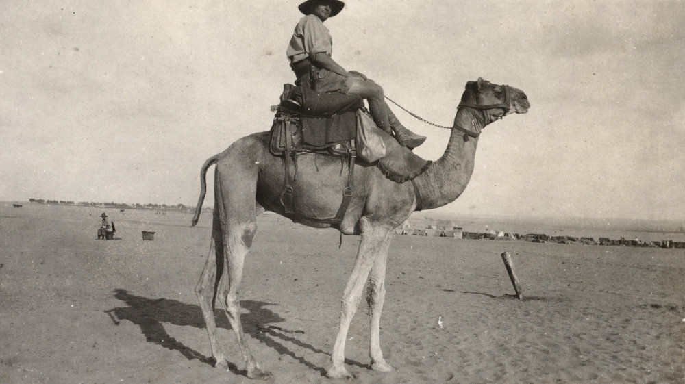 Photo from page 05 of album WWI Photograph Album - Egypt, Sinai &amp; Palestine.