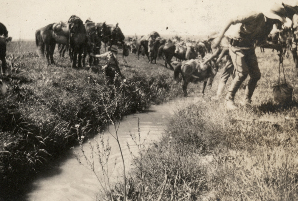 Photo from page 06 of album WWI Photograph Album - Egypt, Sinai &amp; Palestine.