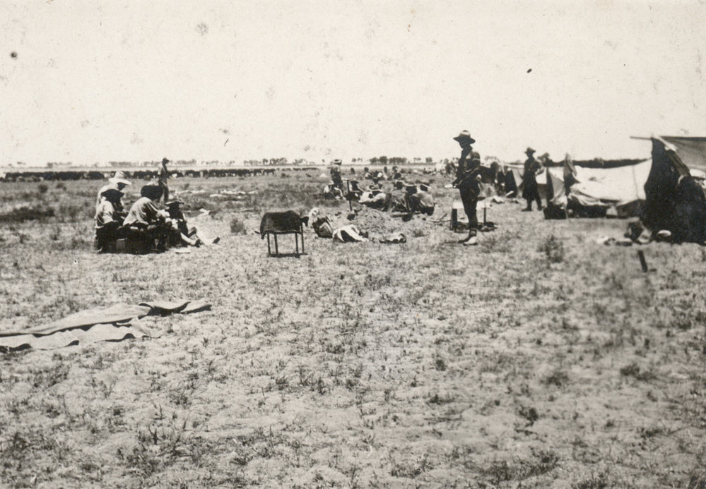 Photo from page 09 of album WWI Photograph Album - Egypt, Sinai &amp; Palestine.