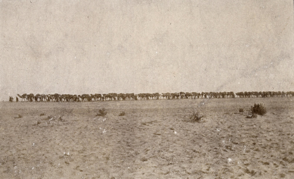 Photo from page 10 of album WWI Photograph Album - Egypt, Sinai &amp; Palestine.