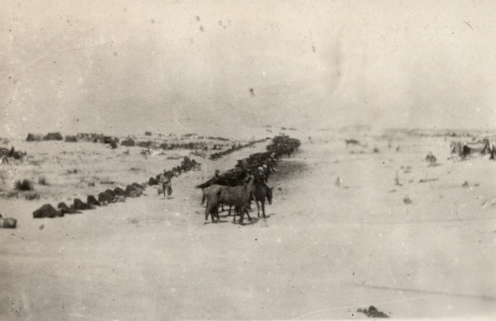 Photo from page 11 of album WWI Photograph Album - Egypt, Sinai &amp; Palestine.