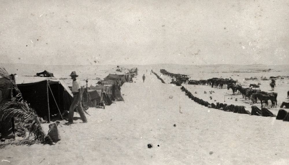 Photo from page 12 of album WWI Photograph Album - Egypt, Sinai &amp; Palestine.