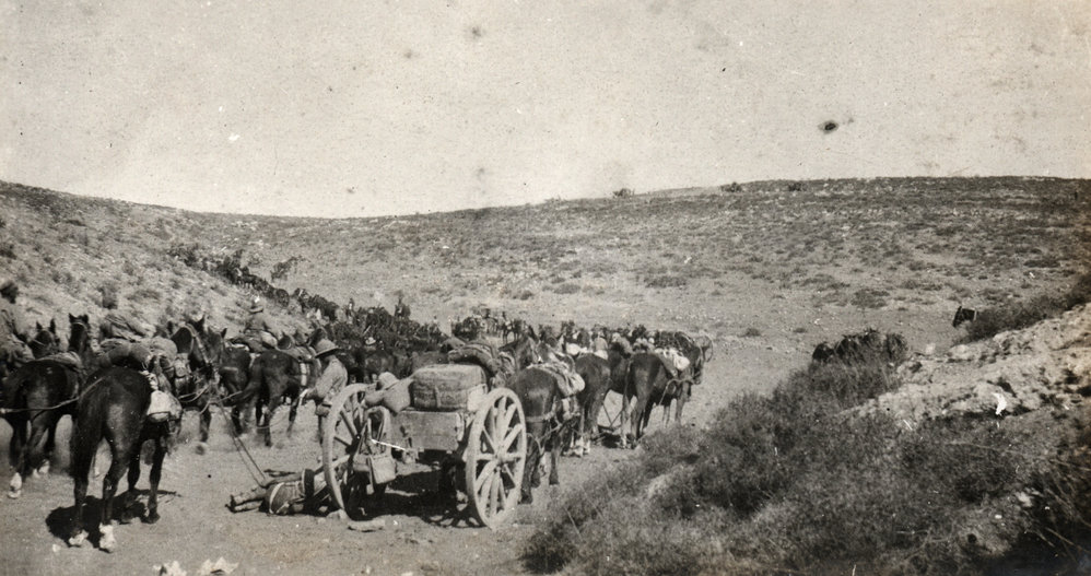 Photo from page 13 of album WWI Photograph Album - Egypt, Sinai &amp; Palestine.