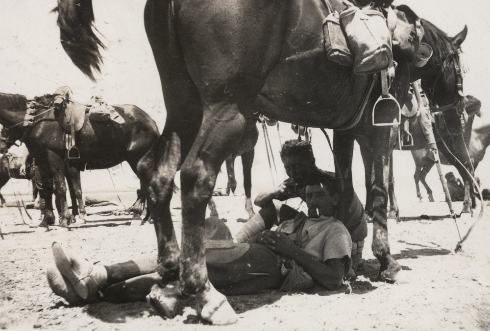 Photo from page 13 of album WWI Photograph Album - Egypt, Sinai &amp; Palestine.