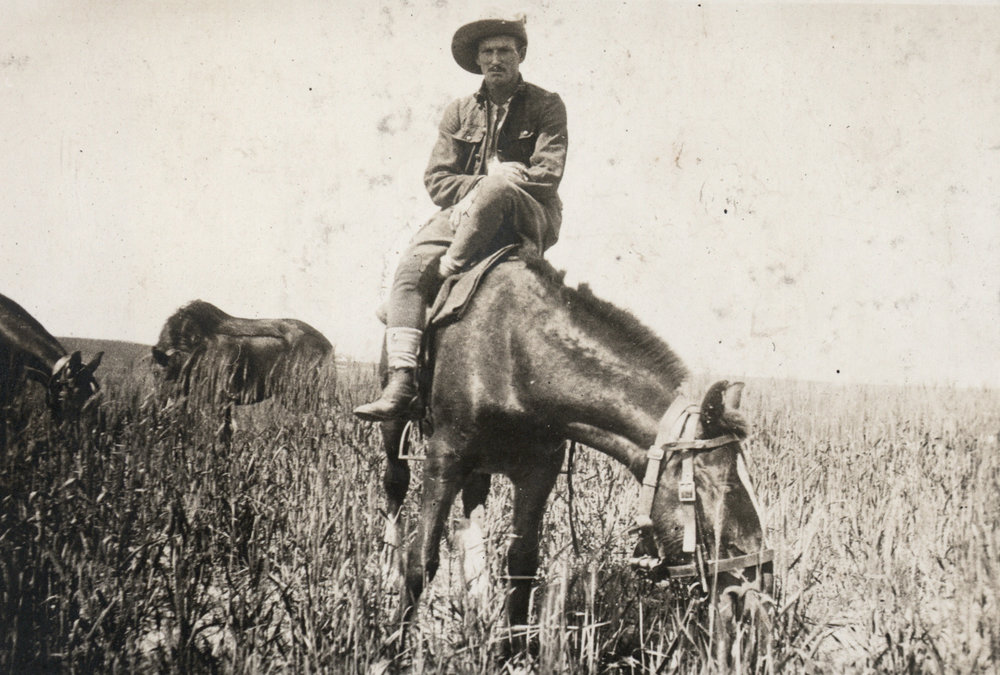 Photo from page 14 of album WWI Photograph Album - Egypt, Sinai &amp; Palestine.